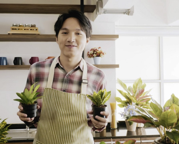 Gardener holding plants
